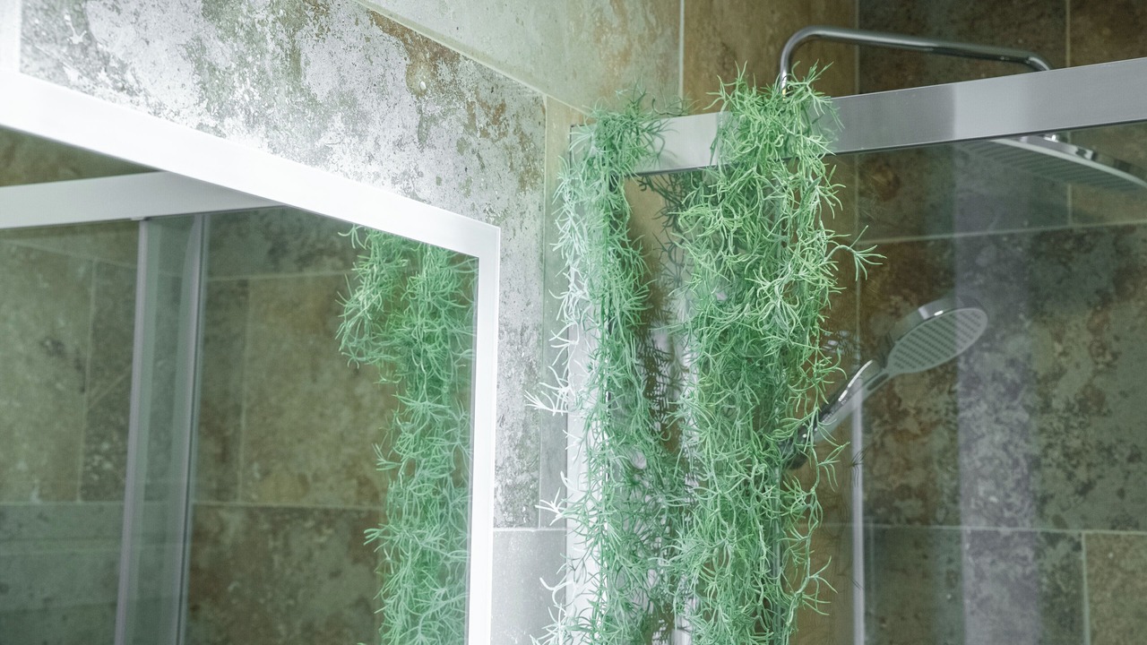 Photo of Bathroom in Floirac