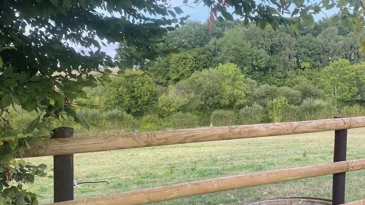 Photo of Outdoor in Saint-Martin-des-Pezerits