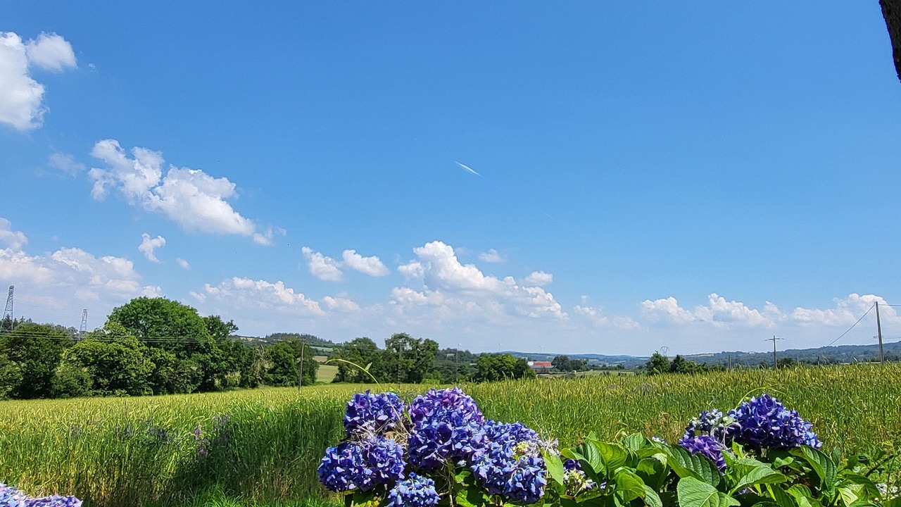 Photo of Outdoor in Plomodiern