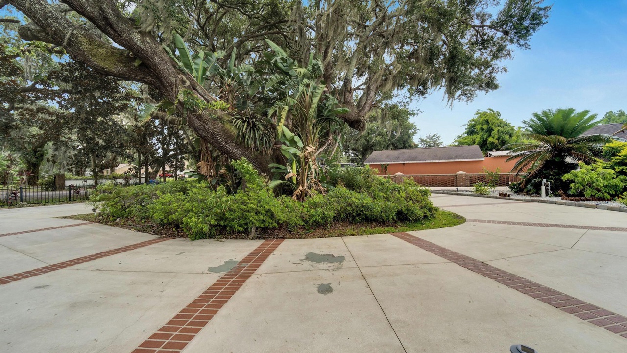 Photo of Others in Seffner Community Alliance