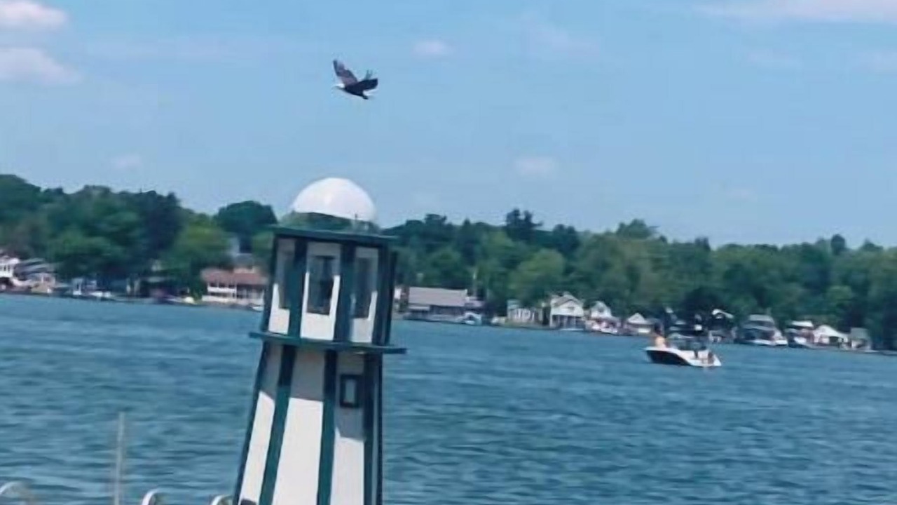 Photo of Others in Lake Odessa
