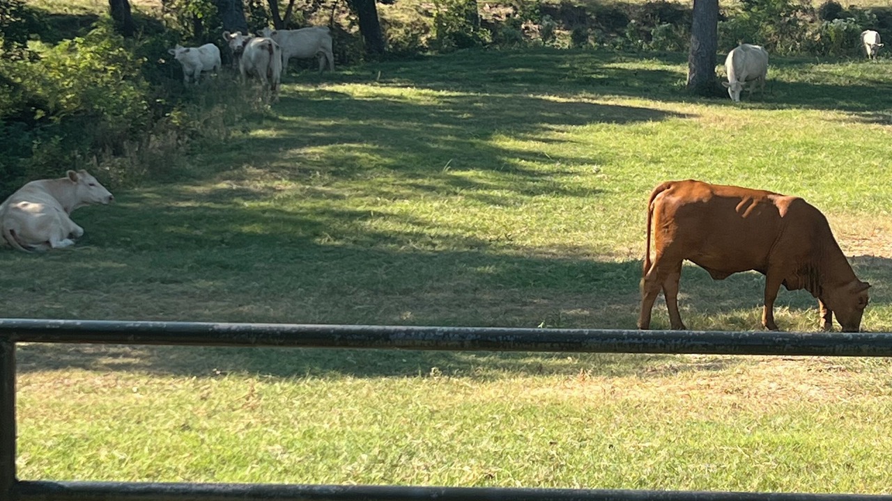 Photo of Others in Lee County