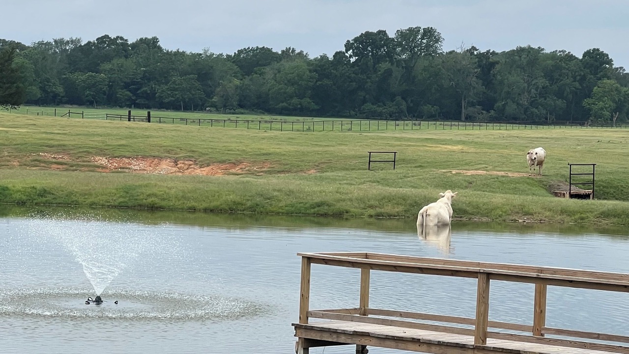 Photo of Others in Lee County