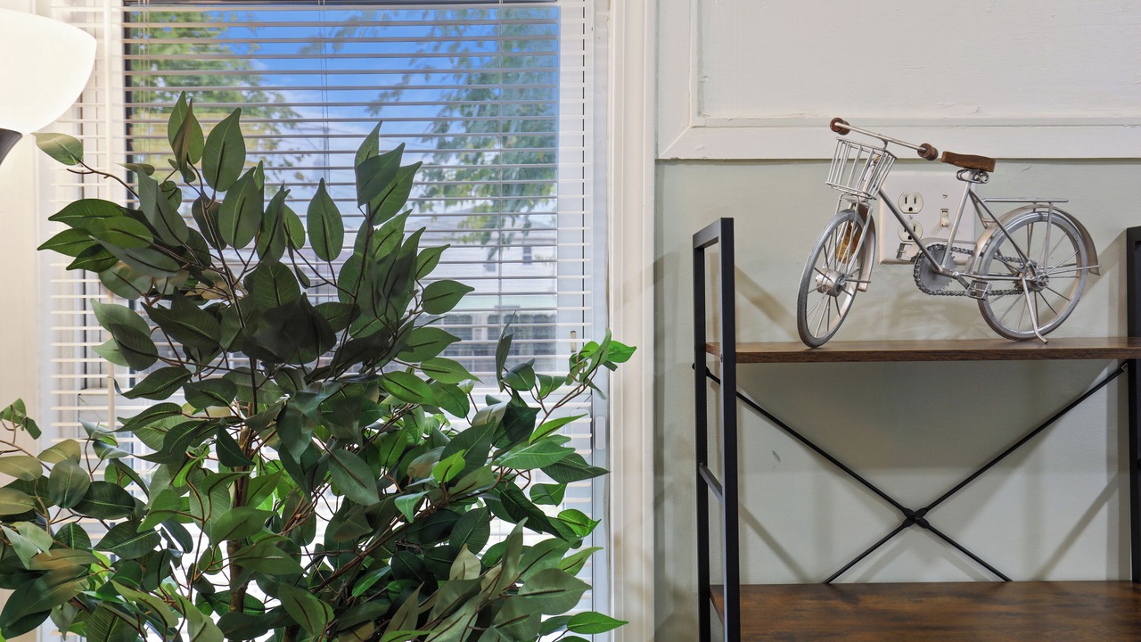 Photo of Others in Forest Park