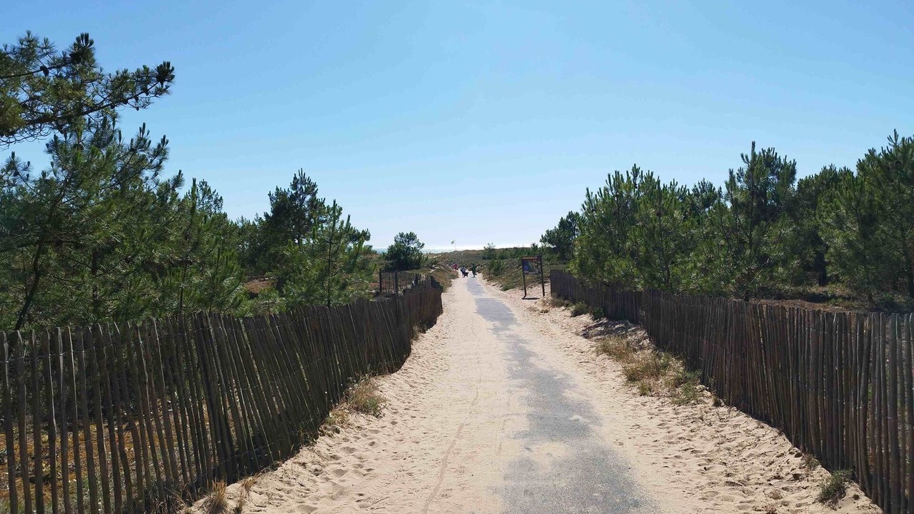 Photo of Others in La Faute-sur-Mer