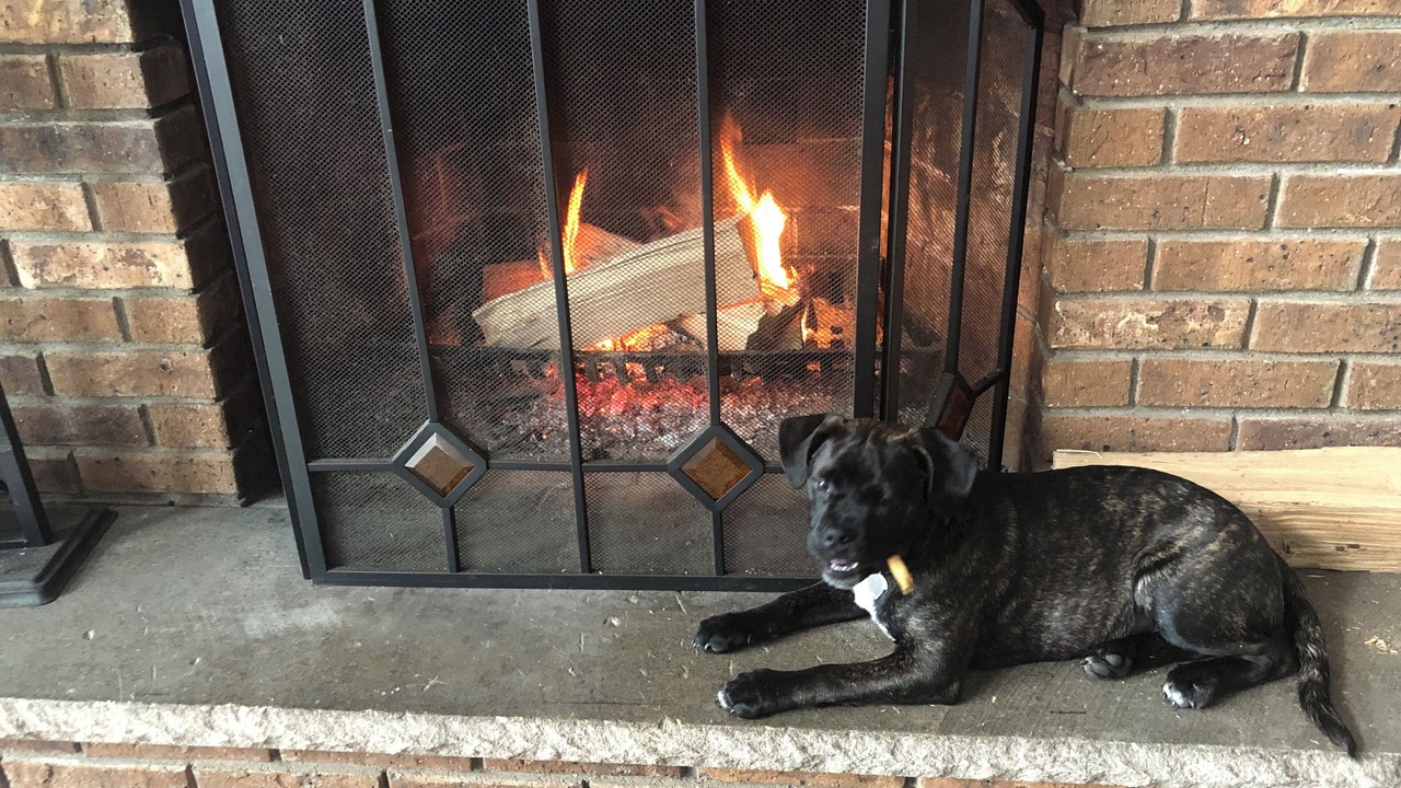 Photo of Outdoor in Saylorsburg