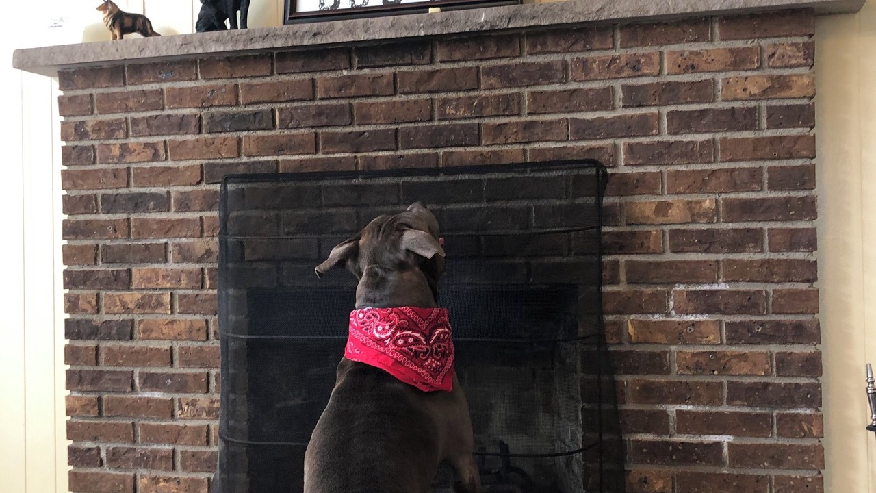 Photo of Others in Saylorsburg