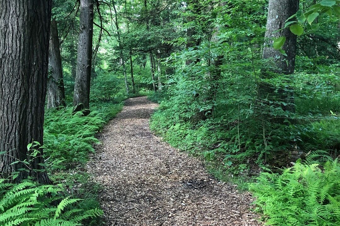 Photo of Others in Saylorsburg