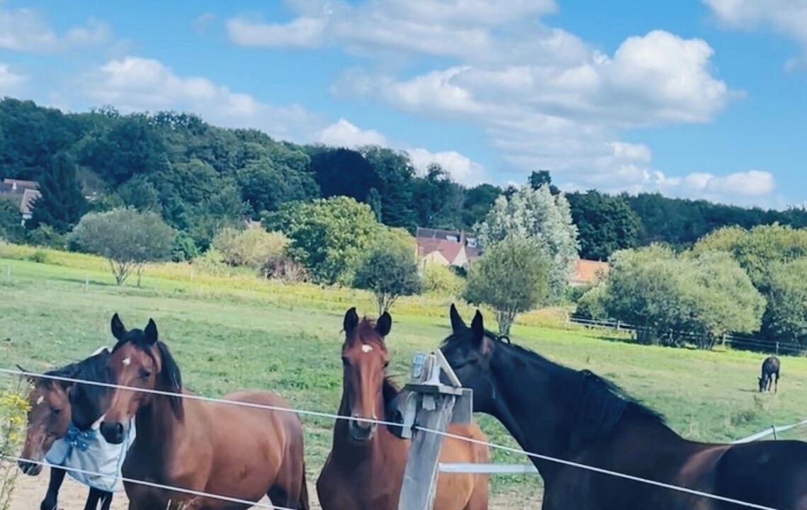 Photo of Others in Forges-les-Bains