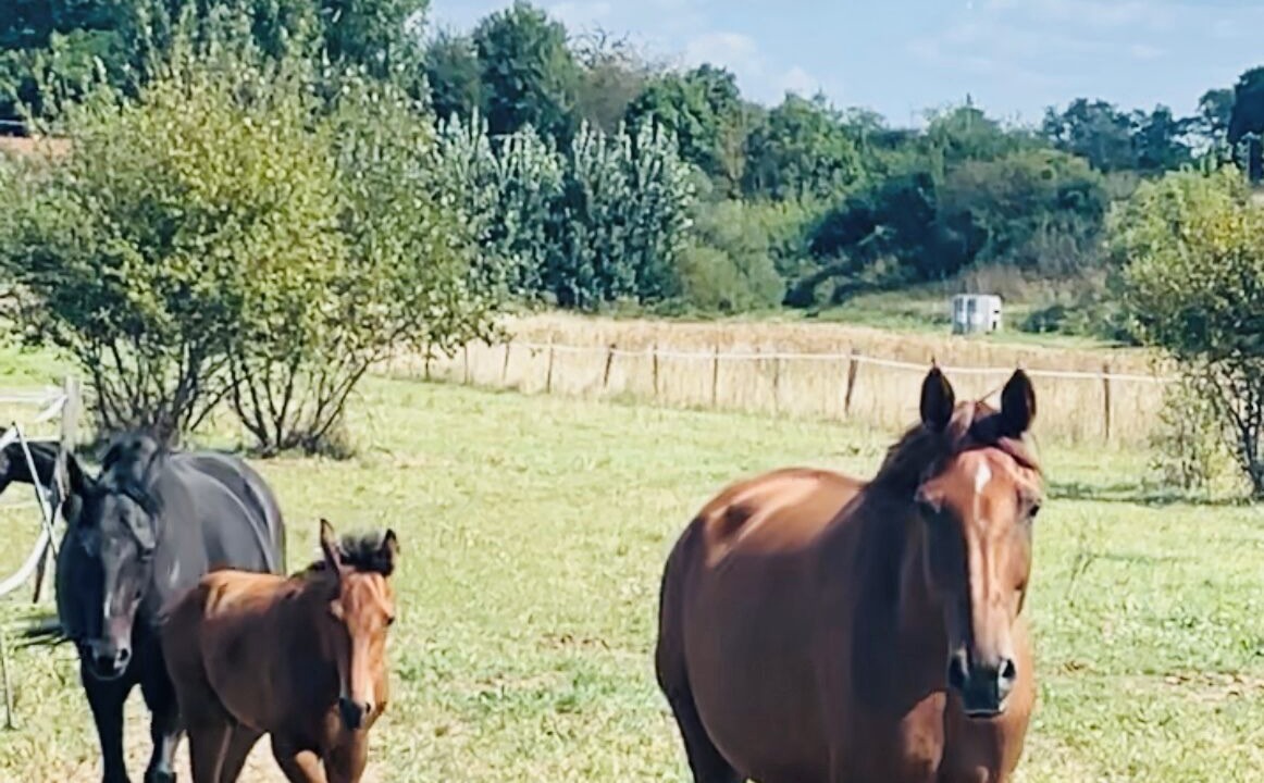 Photo of Others in Forges-les-Bains