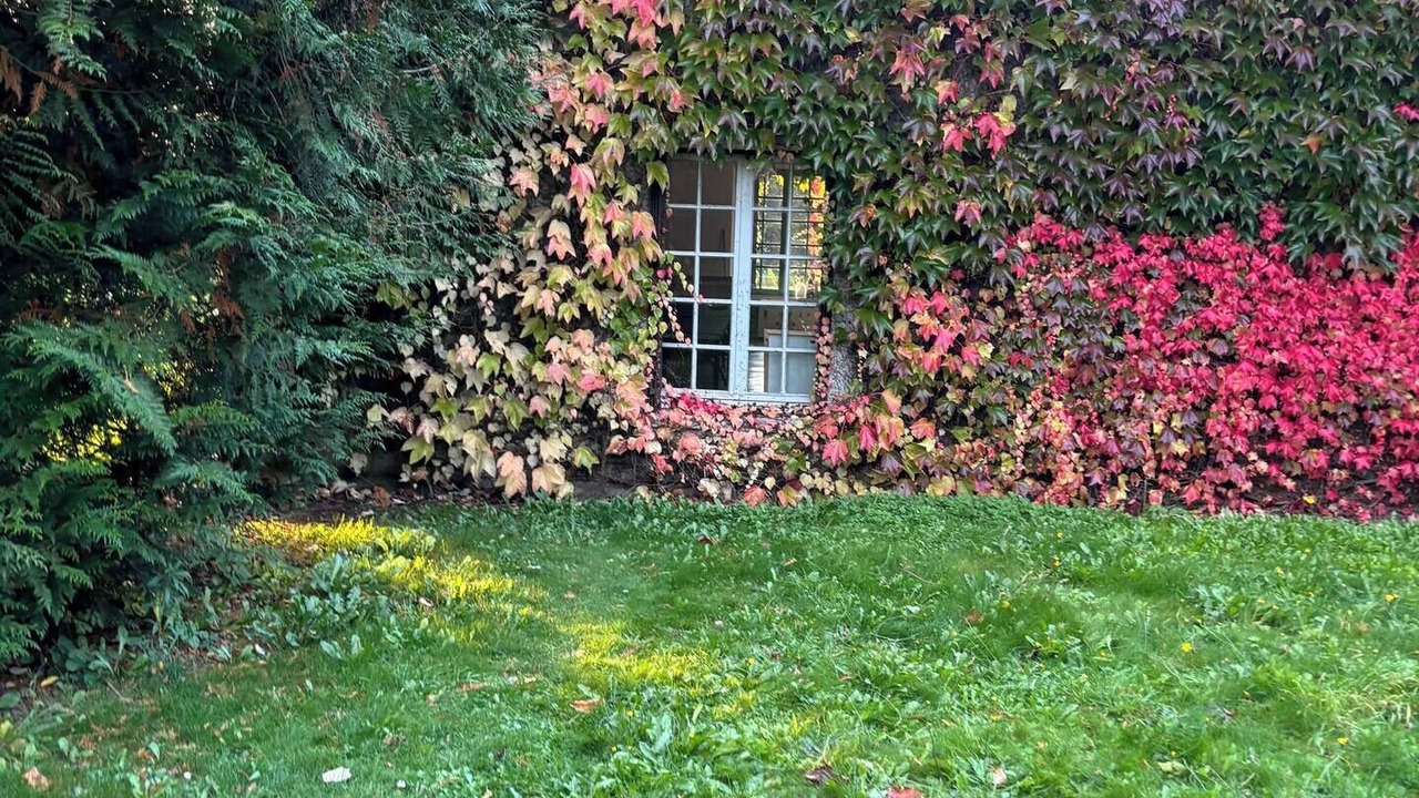 Photo of Outdoor in Le Pin-au-Haras