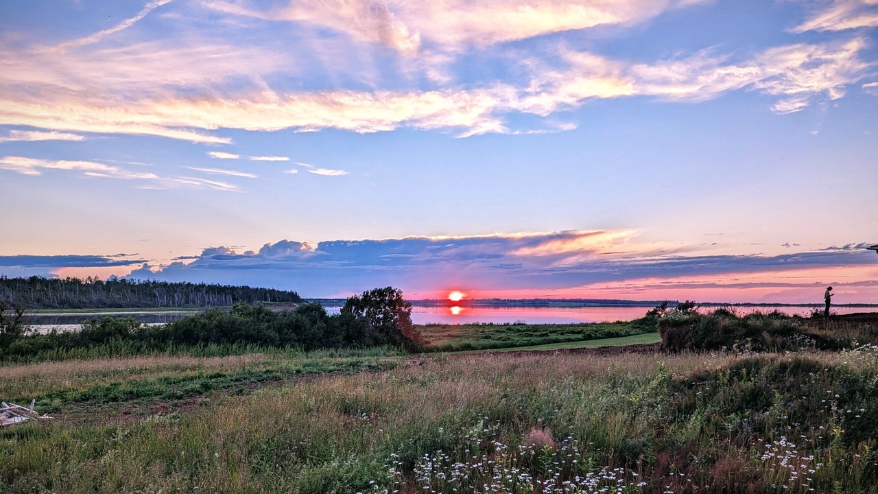 Photo of Others in West Covehead