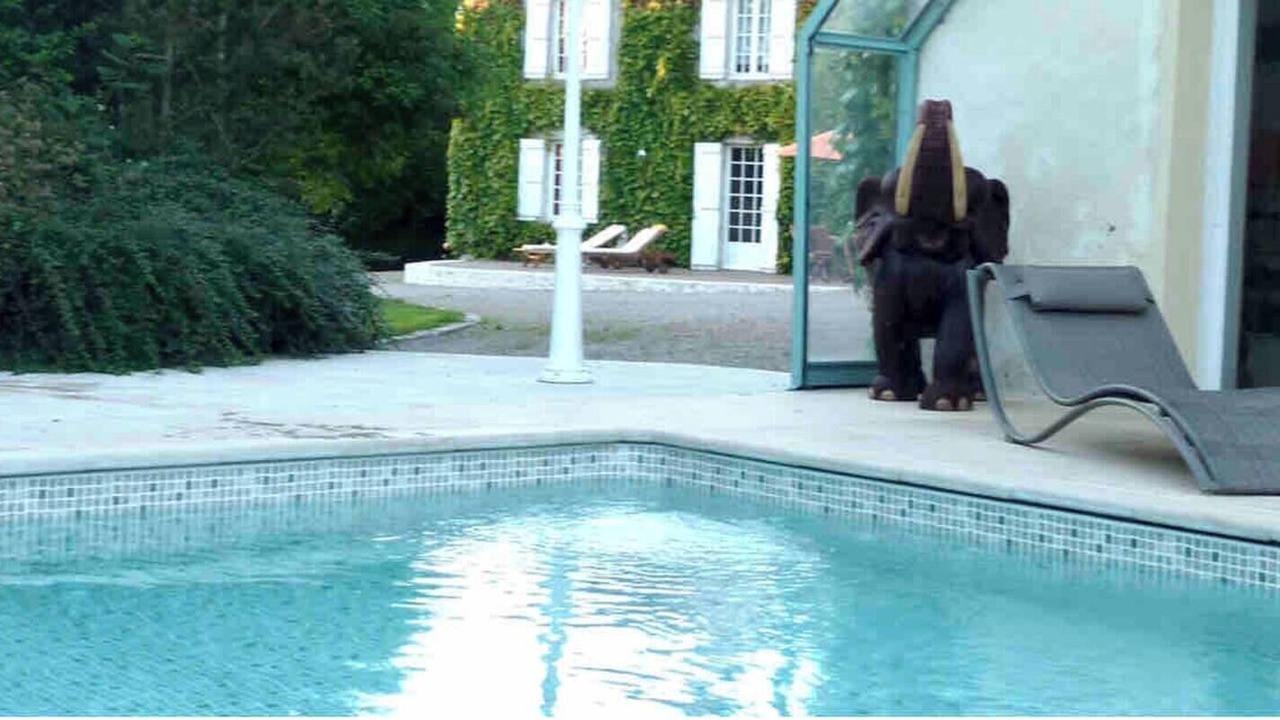 Photo of Outdoor in Le Pin-au-Haras