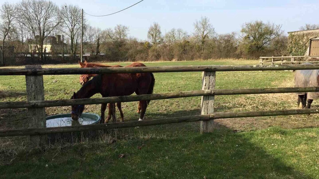 Photo of Others in Le Pin-au-Haras