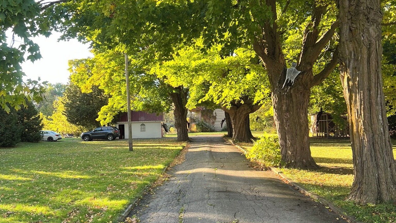 Photo of Others in Baldwin