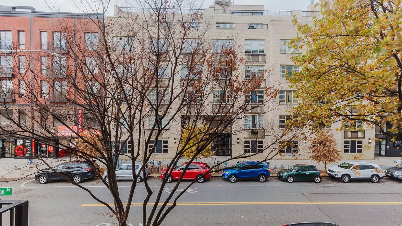 Photo of Outdoor in Williamsburg