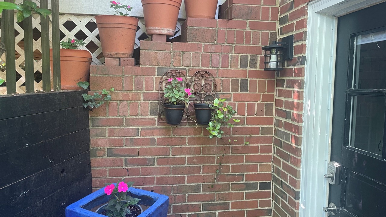 Photo of Outdoor in Chapel Hill