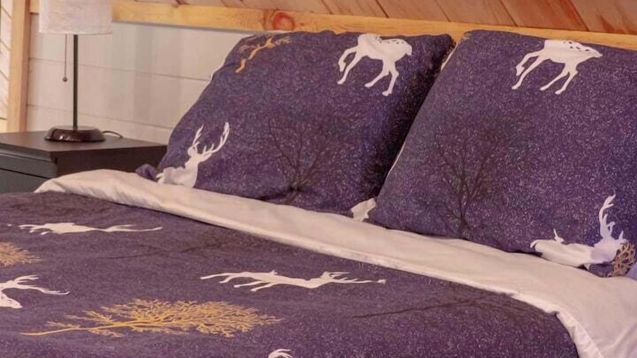 Photo of Bedroom in La Tuque