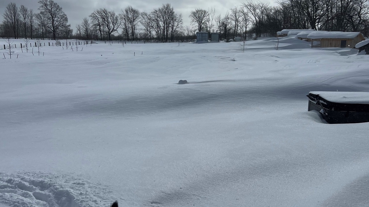 Photo of Others in Grey Highlands