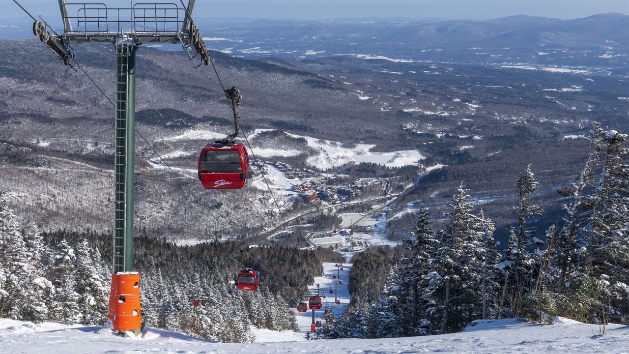 Photo of Others in Stowe