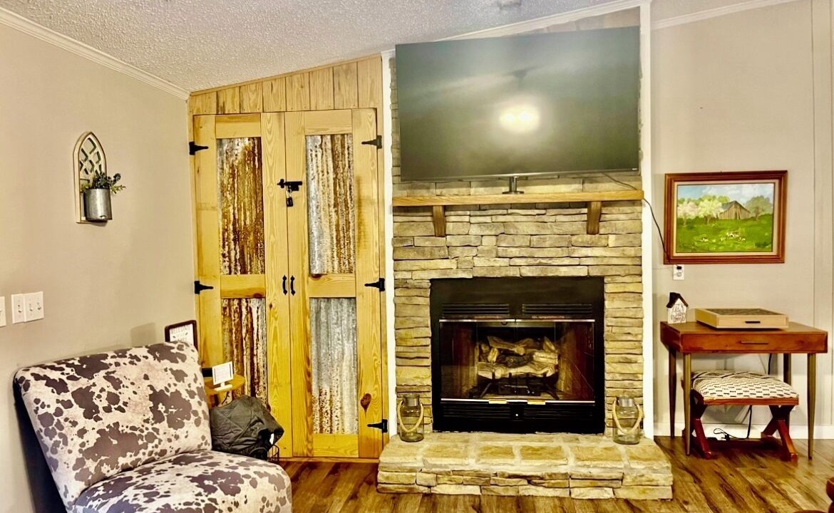 Photo of Livingroom in Blue Mountain