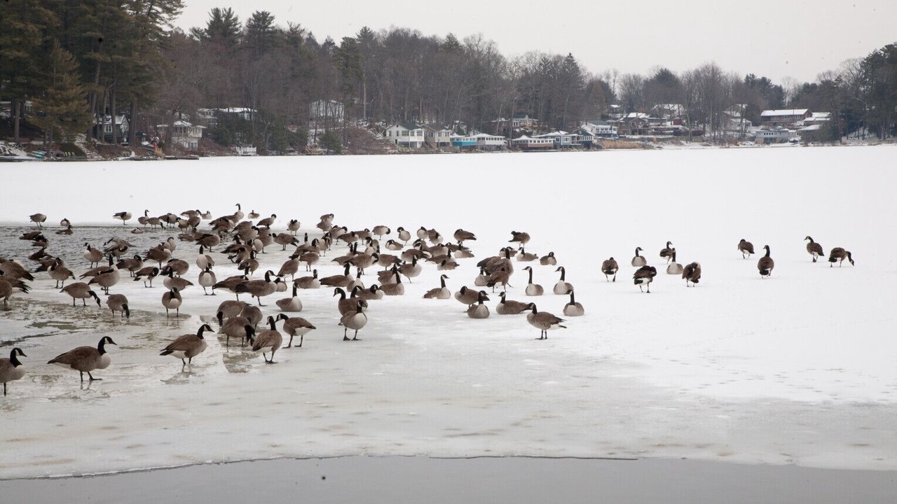 Photo of Others in Saylorsburg