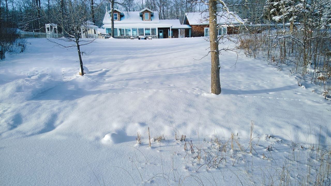 Photo of Outdoor in Bovey