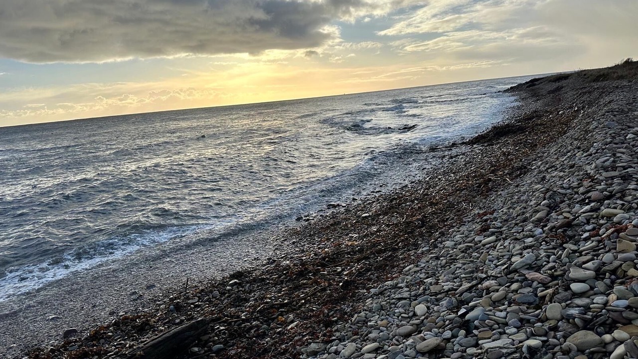 Photo of Others in Helmsdale