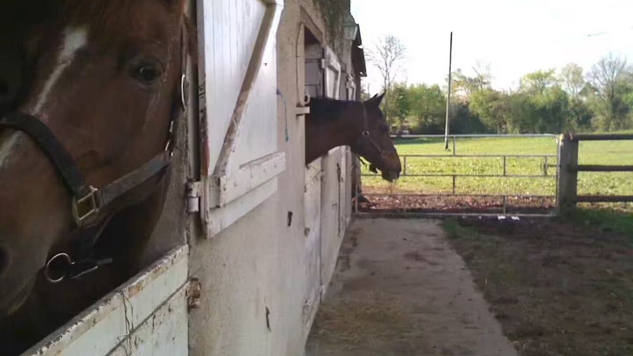 Photo of Others in Le Pin-au-Haras