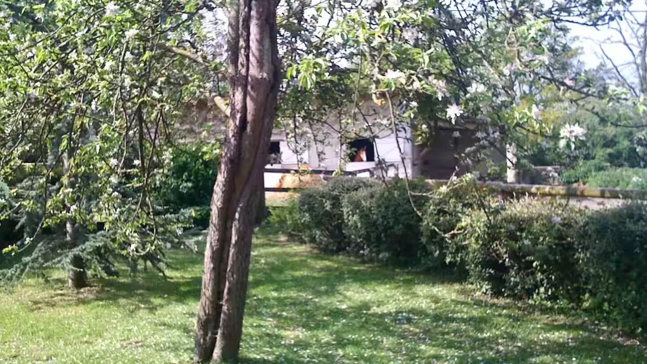 Photo of Outdoor in Le Pin-au-Haras