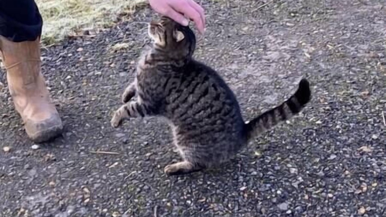 Photo of Others in Ryde