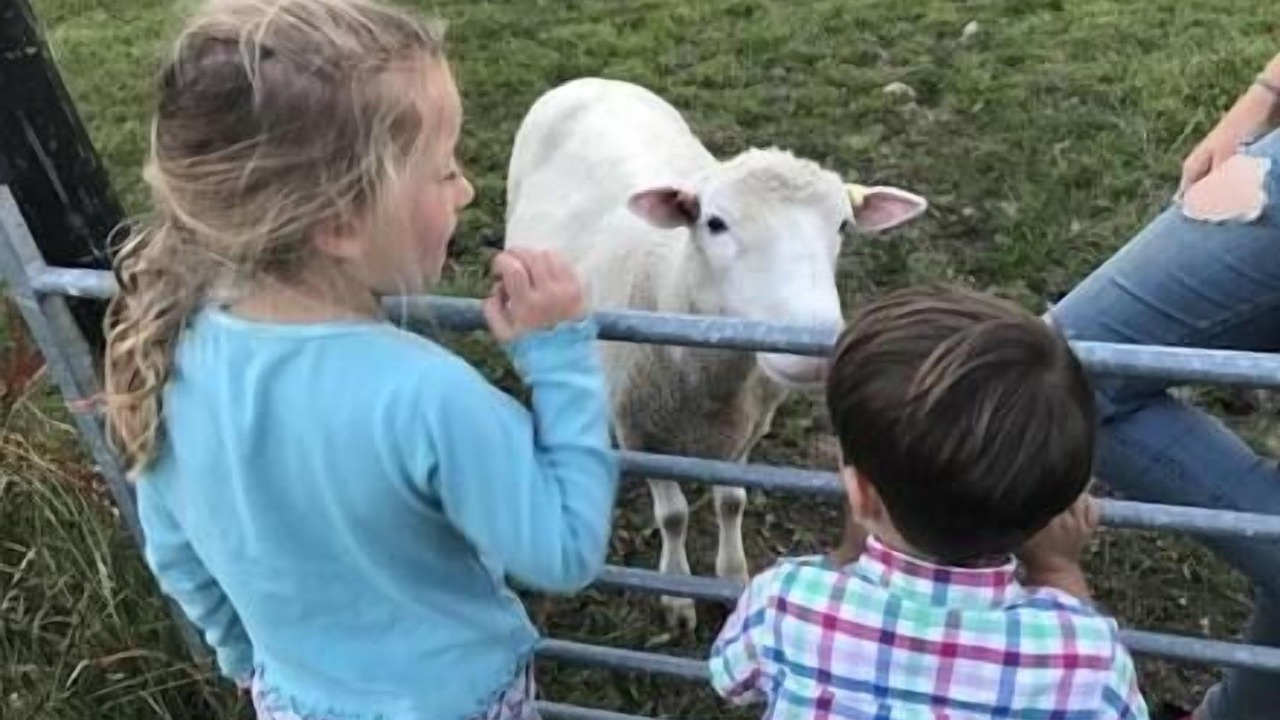 Photo of Others in Ryde