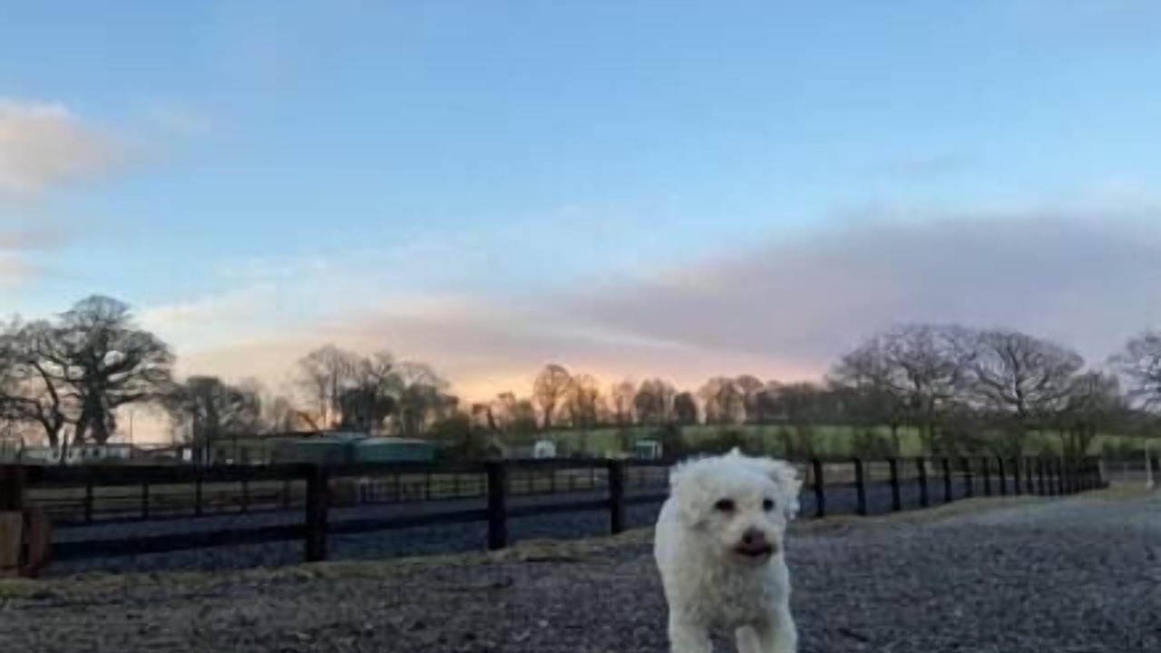 Photo of Others in Ryde