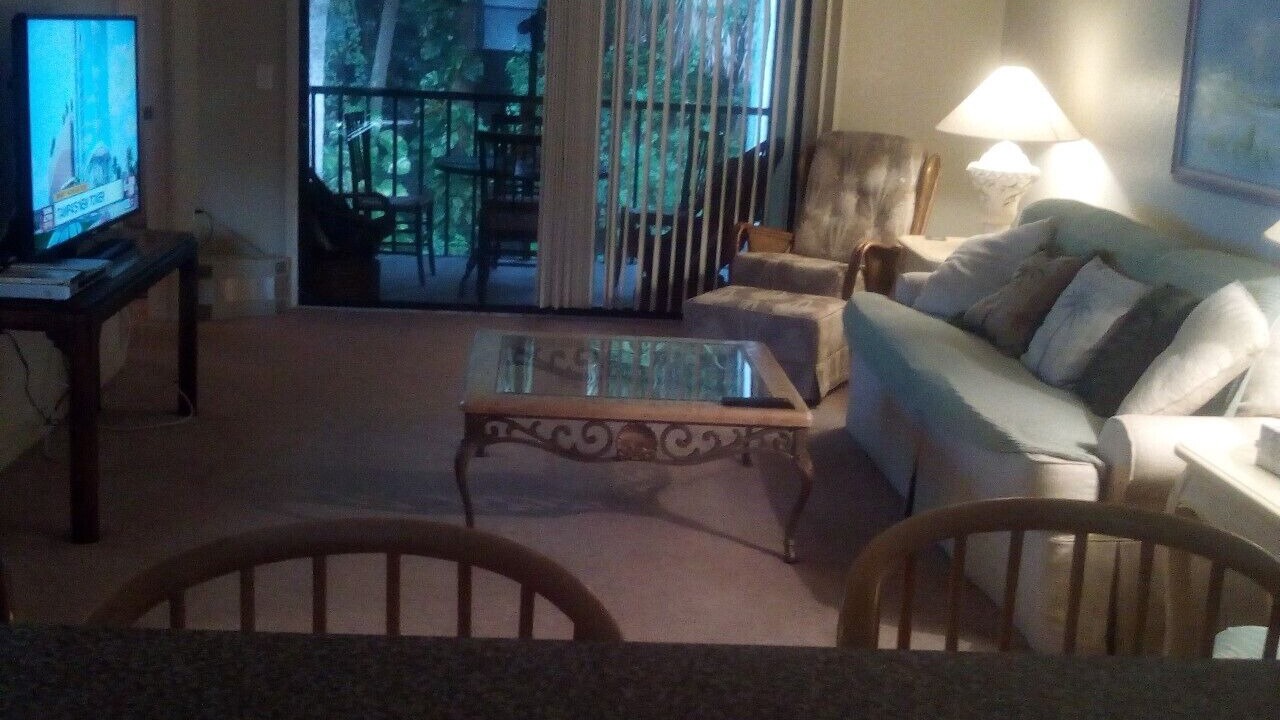 Photo of Livingroom in Pinellas Point