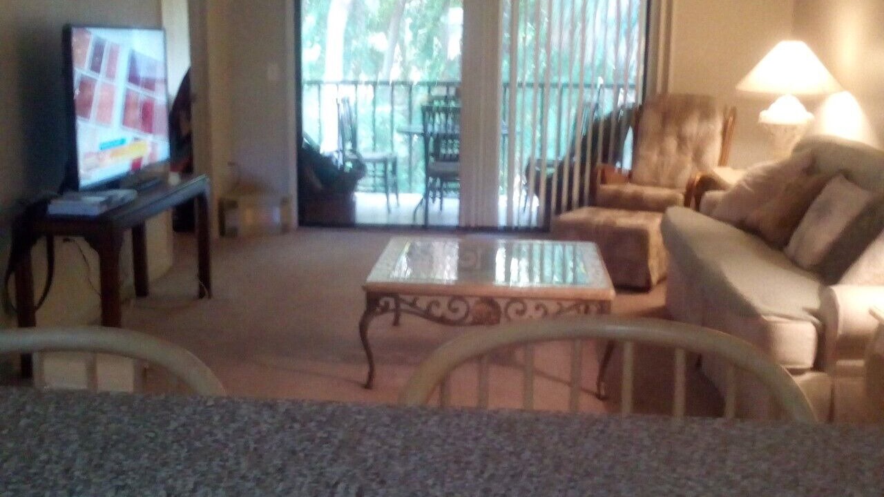 Photo of Livingroom in Pinellas Point
