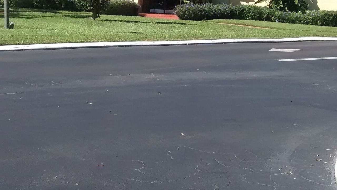 Photo of Outdoor in Pinellas Point