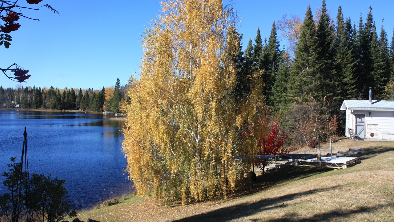 Photo of Outdoor in Kaministiquia