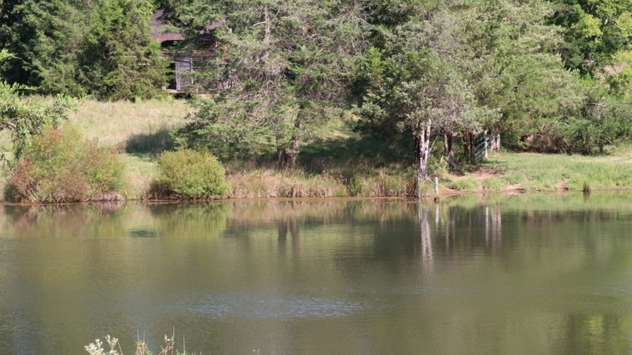 Photo of Others in Pamplin