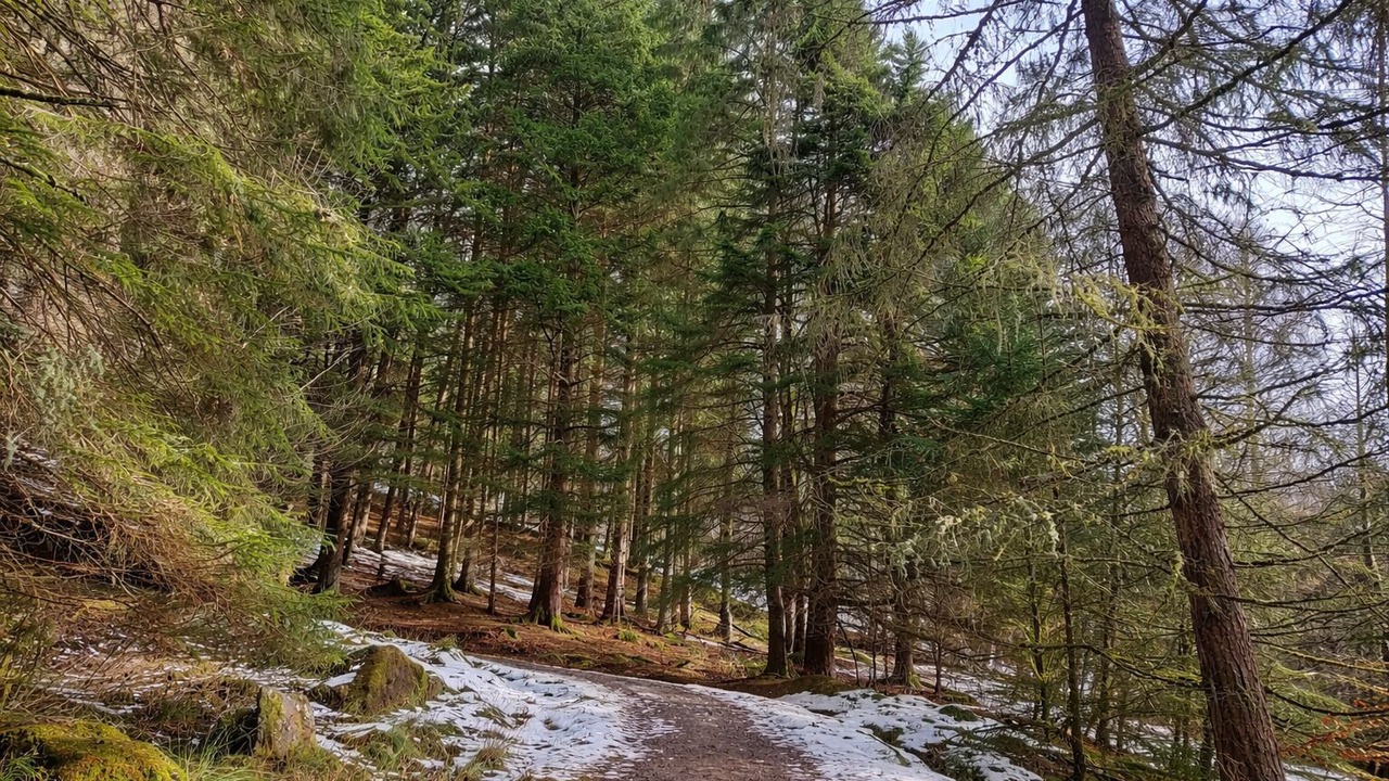 Photo of Others in Balquhidder
