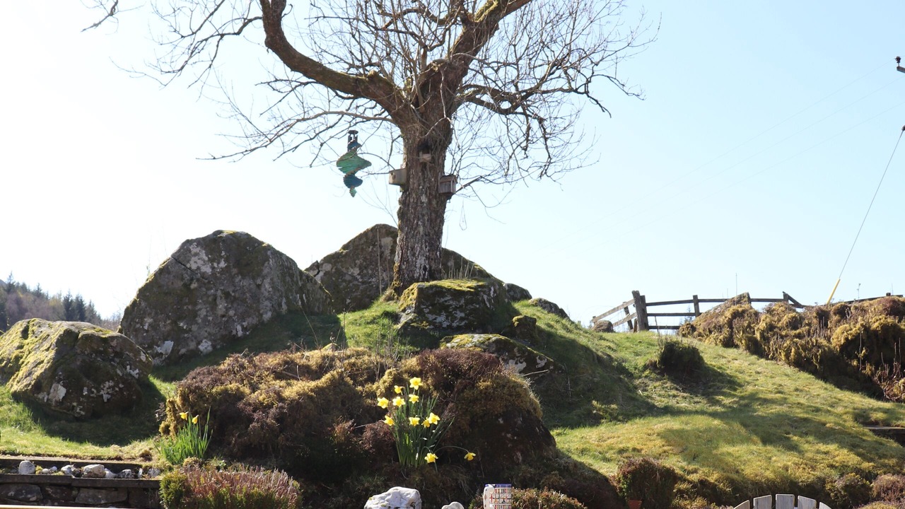 Photo of Outdoor in Balquhidder
