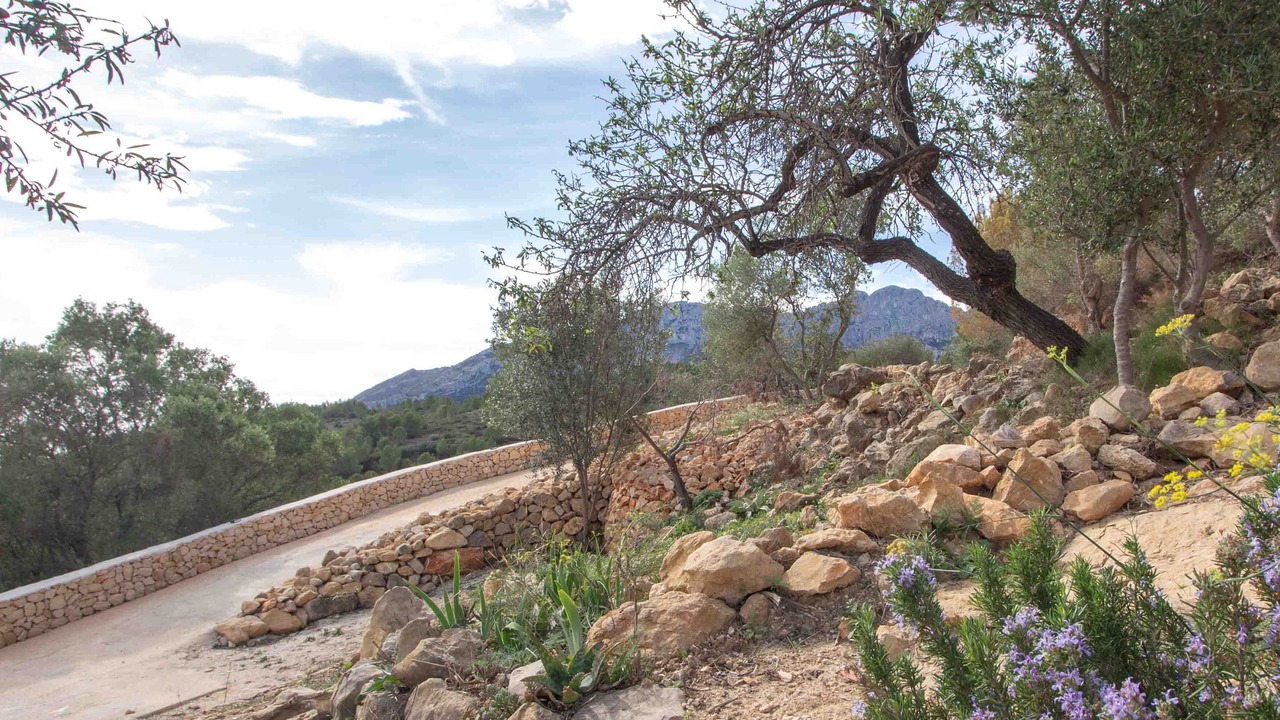 Photo of Others in Lliber