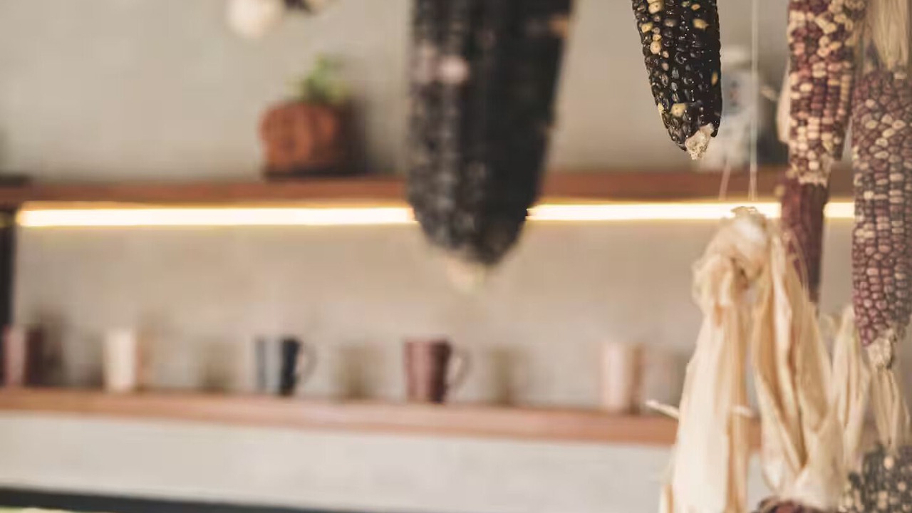 Photo of Others in Todos Santos