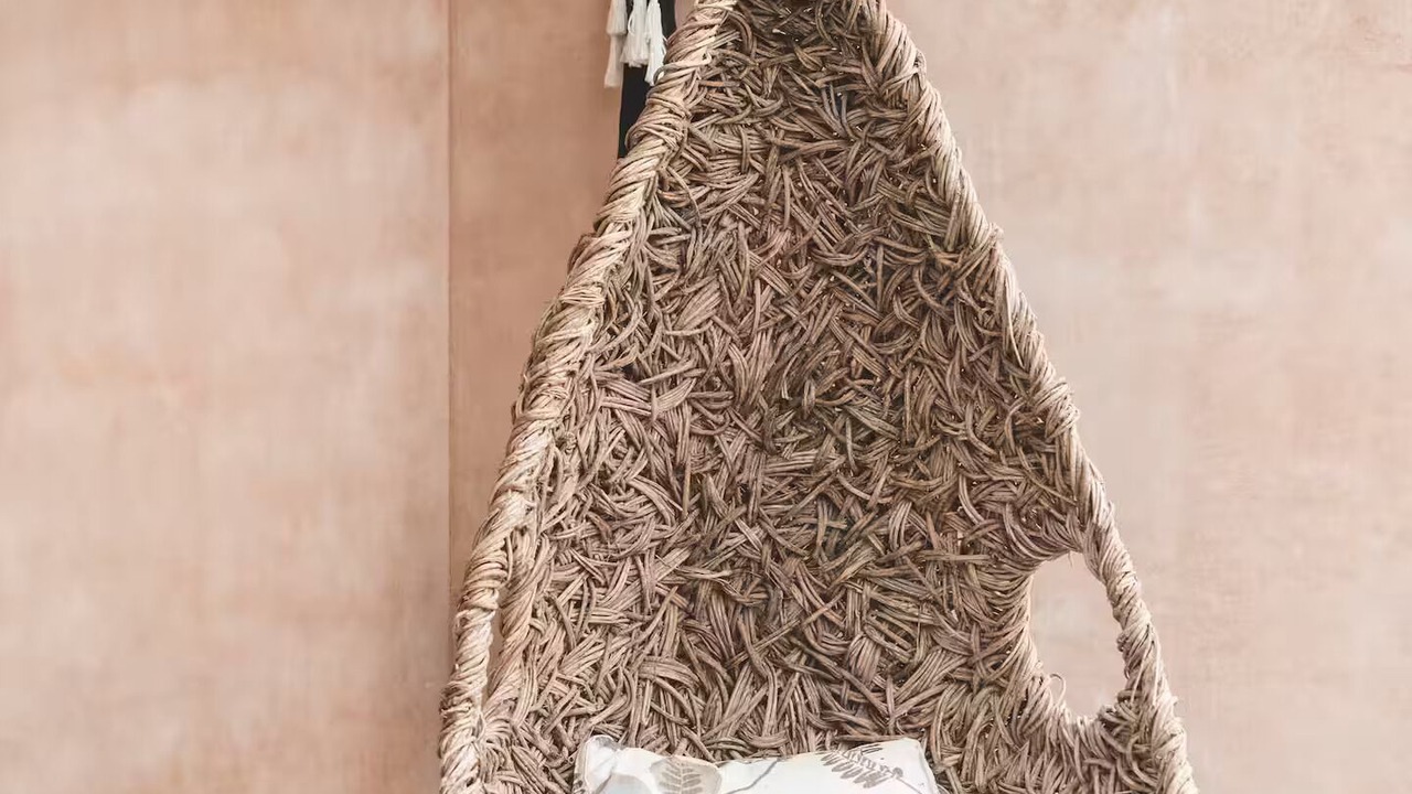 Photo of Others in Todos Santos