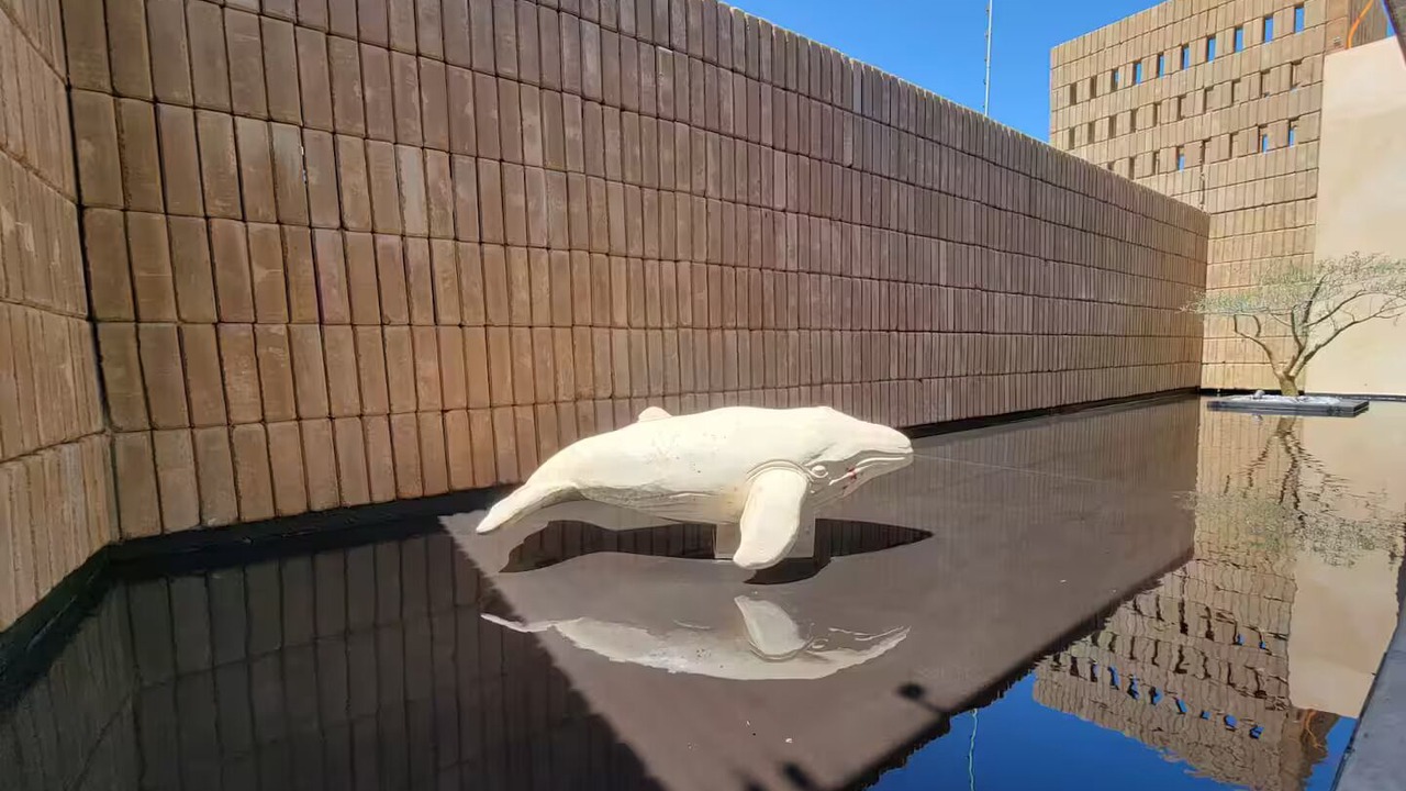 Photo of Others in Todos Santos