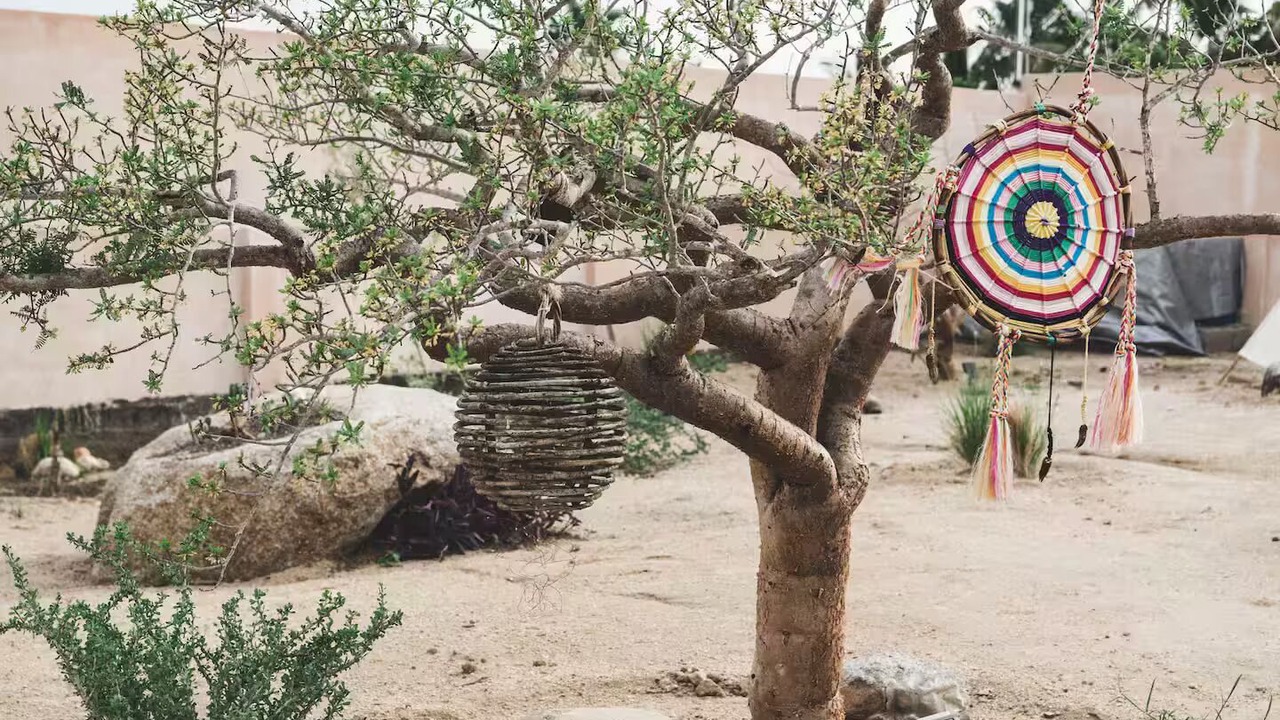 Photo of Outdoor in Todos Santos