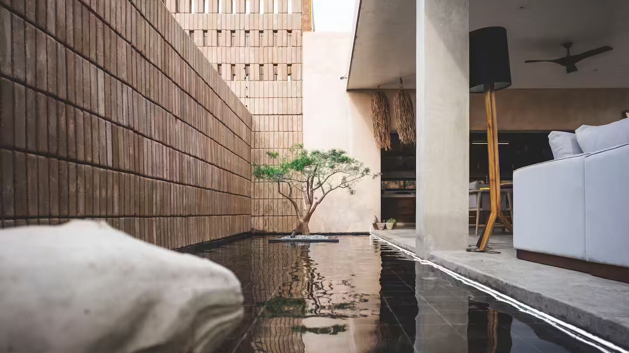 Photo of Outdoor in Todos Santos