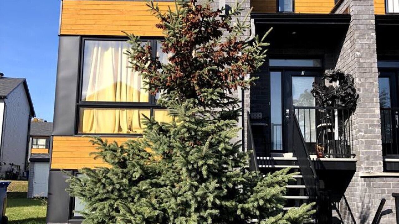 Photo of Outdoor in Plateau