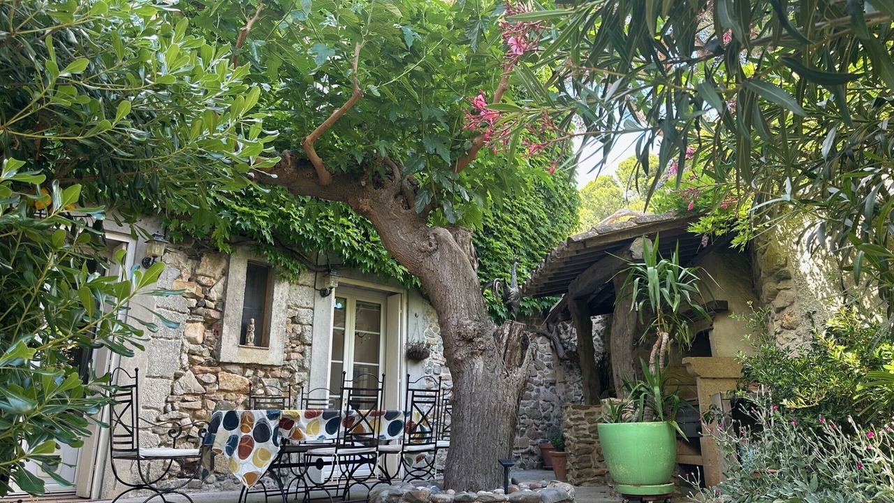 Photo of Outdoor in Mirepeisset