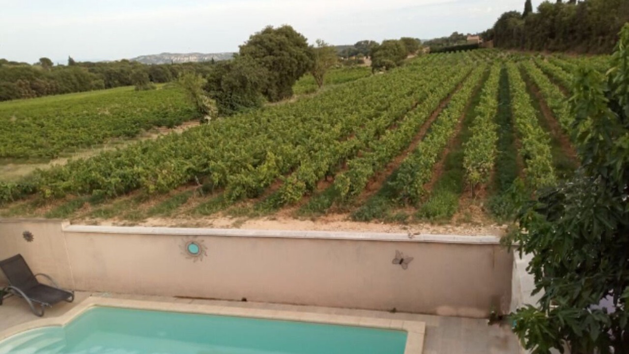 Photo of Outdoor in Tavel