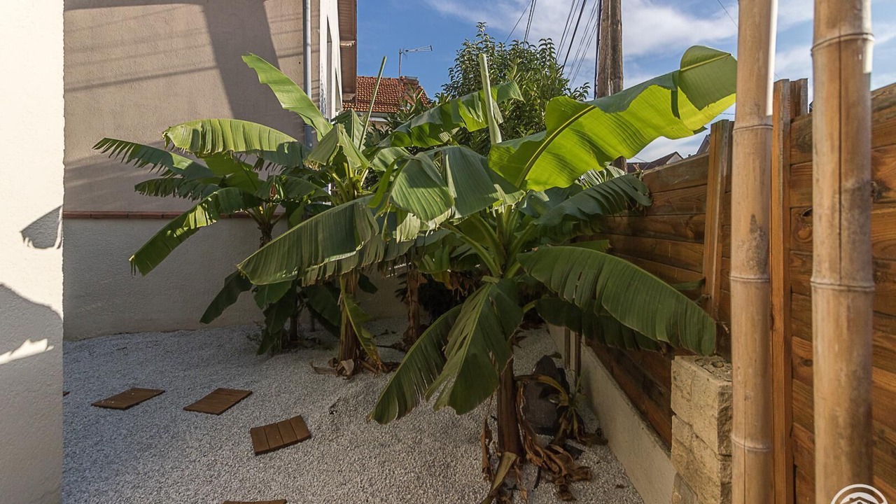 Photo of Outdoor in Toulouse South-East